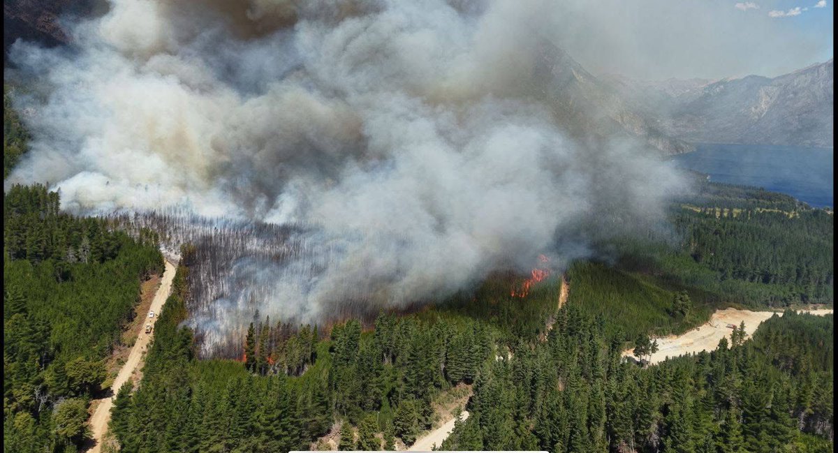 RodrigoDelPool's tweet photo. Nuevamente incendio en la #Patagonia estación vez en la localidad de #ElHoyo. #incendiosForestales #Chubut por favor compartir! https://t.co/fPtrXNRQCN
