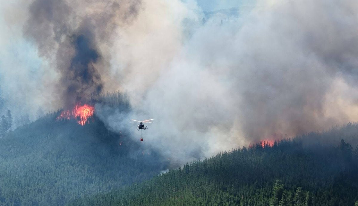 RodrigoDelPool's tweet photo. Nuevamente incendio en la #Patagonia estación vez en la localidad de #ElHoyo. #incendiosForestales #Chubut por favor compartir! https://t.co/fPtrXNRQCN