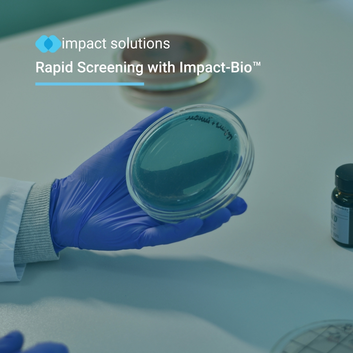 Impact Solutions tweet media