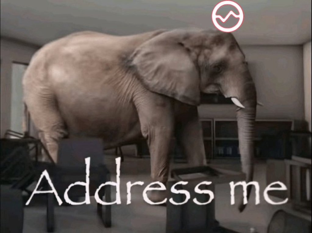 Liyo_lol's tweet image. 