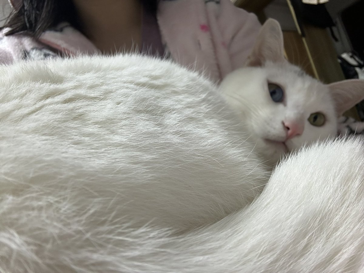 山冈火山| 刺客信条中文维基| Fandom, image size:1200x900