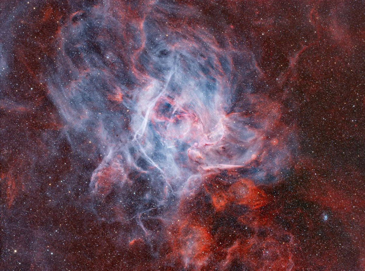 AstroBin.com tweet media