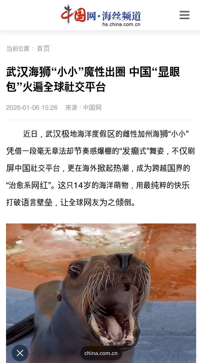 Sea Lion🔸小小 tweet media