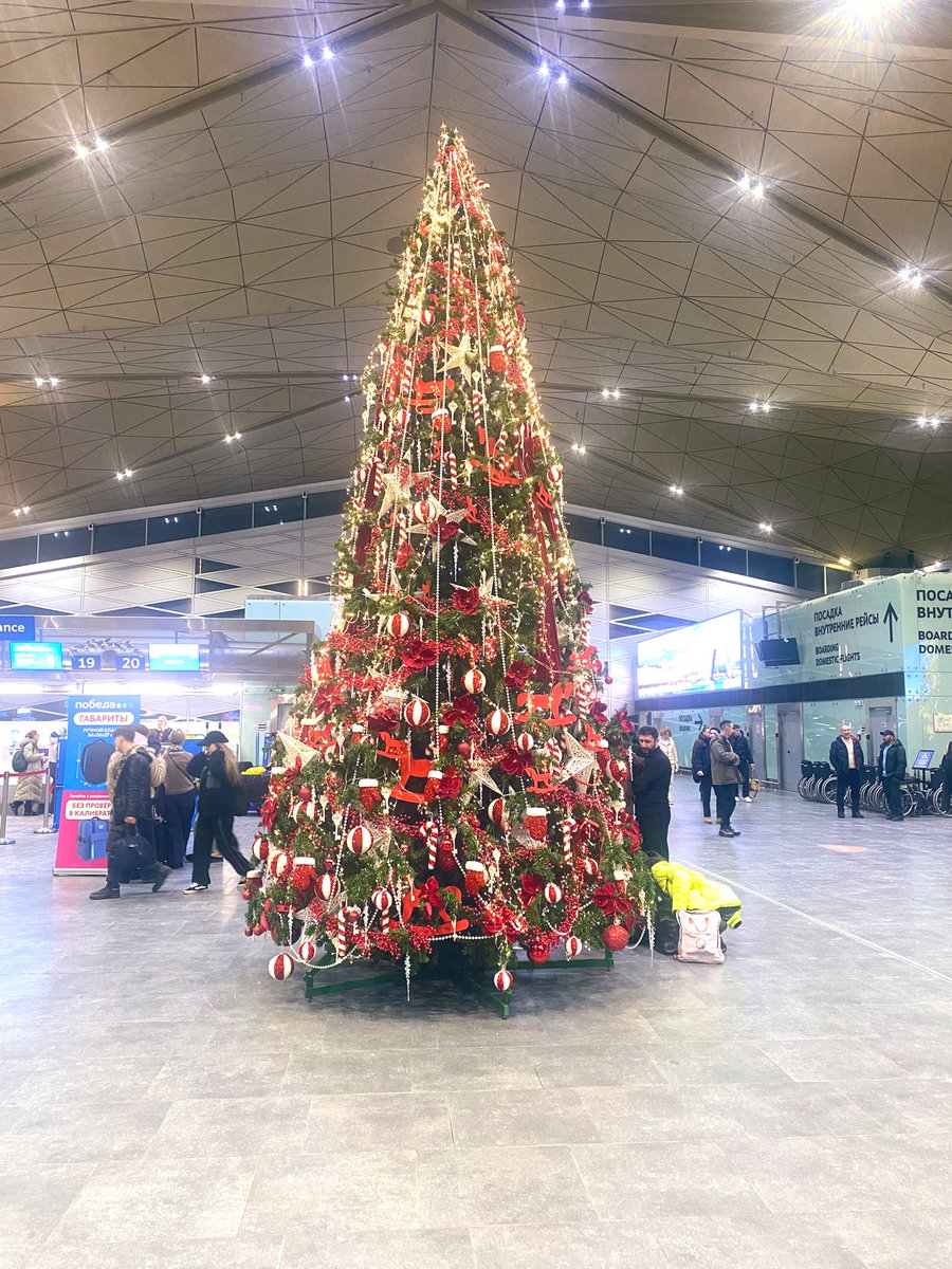 themmylor_'s tweet photo. How I spent my Christmas and New Year holidays 🌹🥰 https://t.co/RhnvhcDq4w