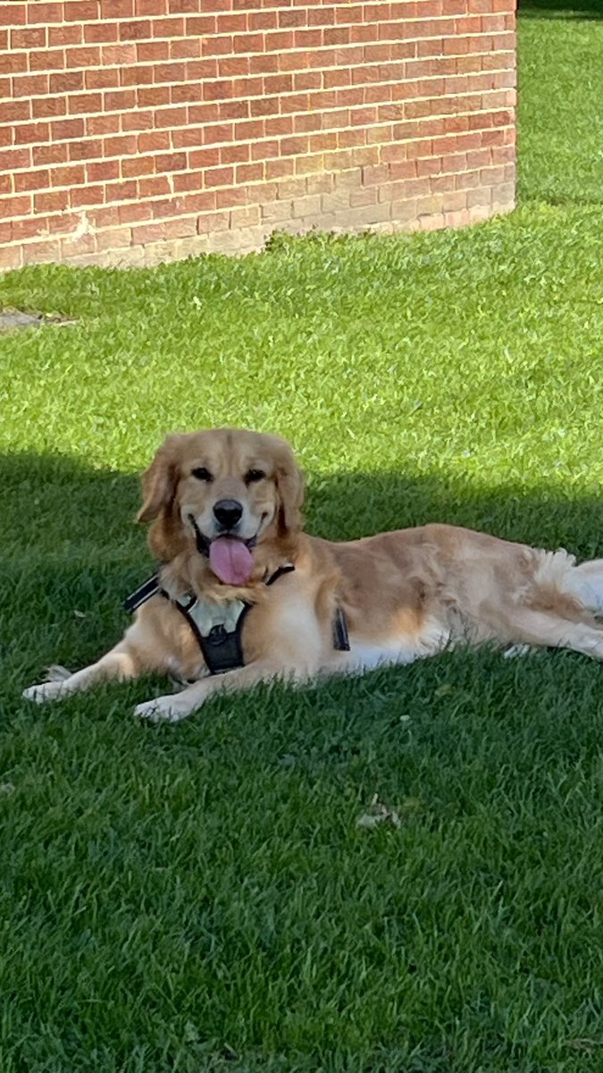 grnnngthng tweet media