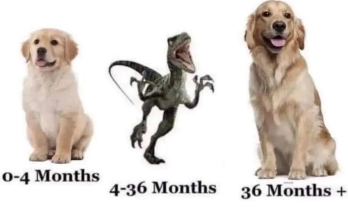 grnnngthng tweet media