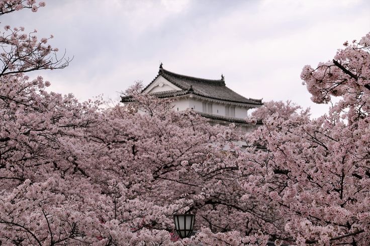 missdelicatie's tweet image. 