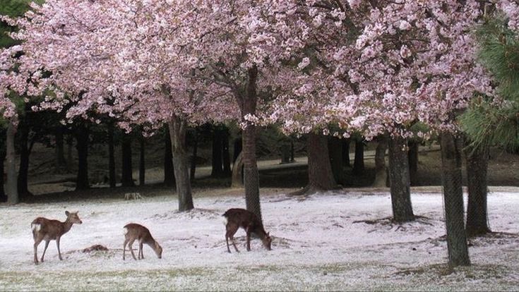 missdelicatie's tweet image. 