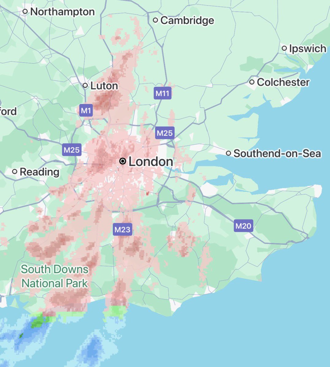 Chailey peter jr 🌩️ tweet media