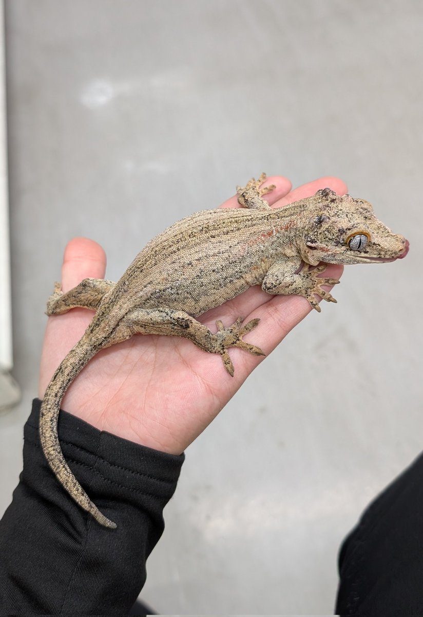 本日も沢山のご来店、ご購入ありがとうございました！！ 明日の