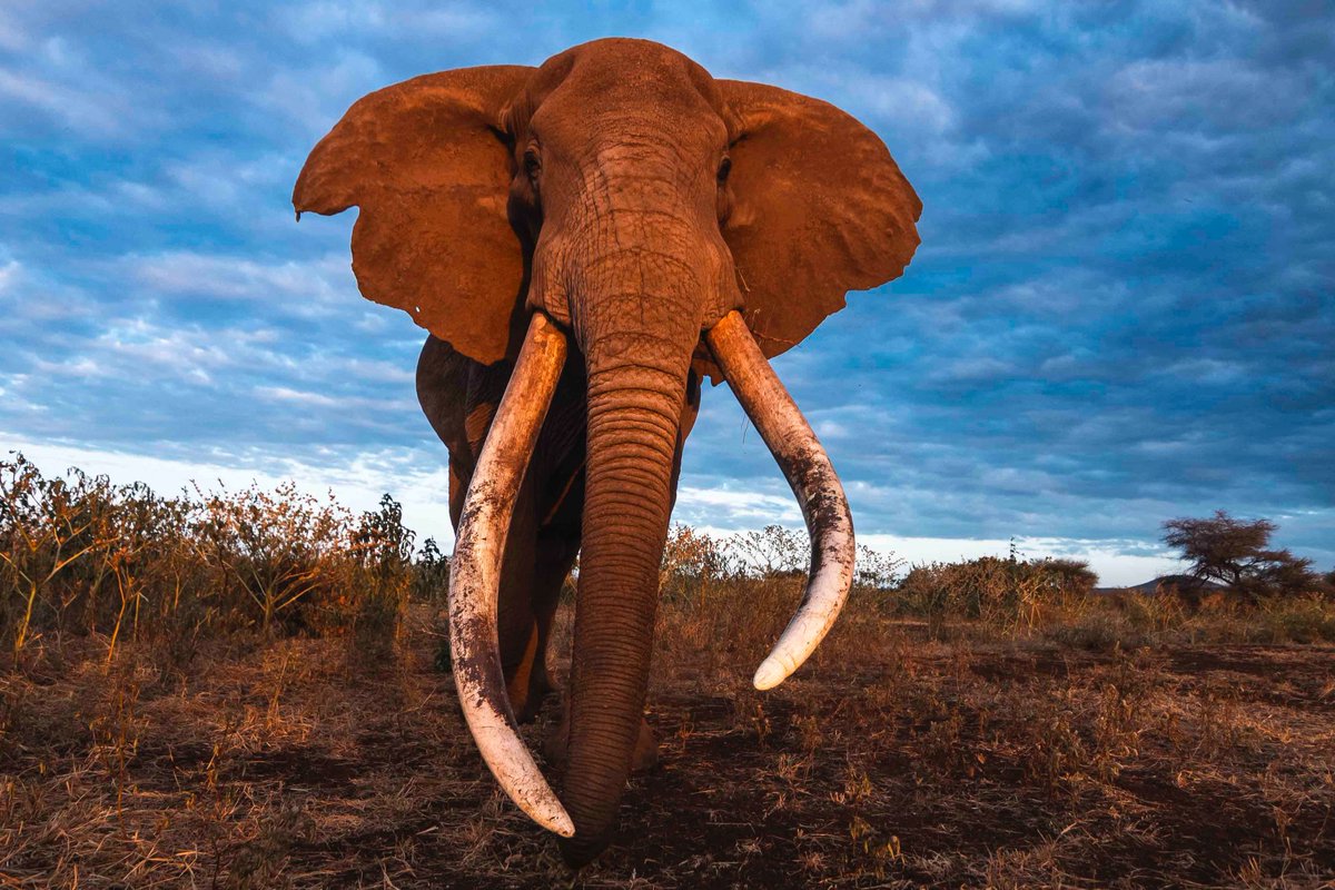 PhotoKenya tweet media