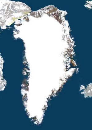 US military experts found huge white Cocaine fields in Greenland run by an Inuit drug cartel