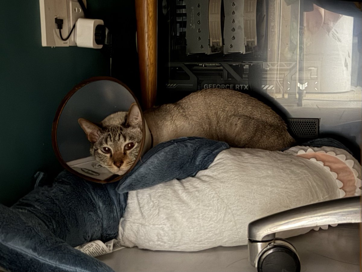 电脑❌
1000瓦电暖器✅