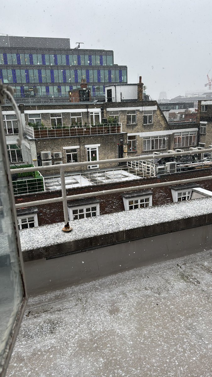 Michael Whytock tweet media