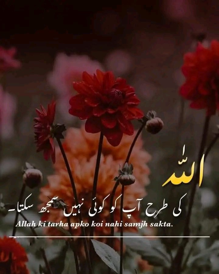Mano Malik (@manomalik0786) on Twitter photo 