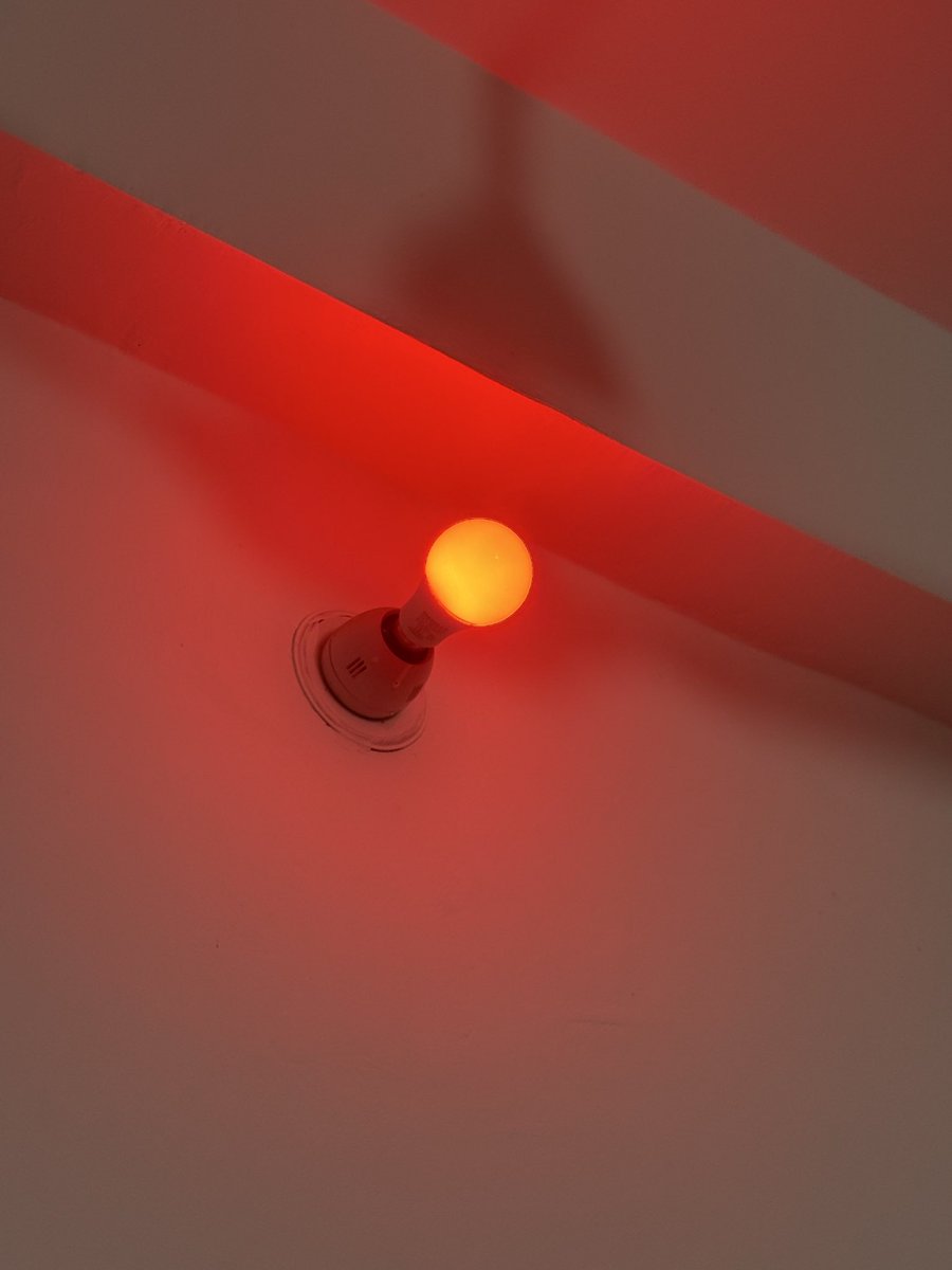 HamidMuffakir's tweet photo. Wrote a small script that keeps my room glowing red until I finish my entire to-do list and once i finish them all it turns green. 

- Notion API 
- Tuya Developer API 
- Raspberry Pi 02w for running whole setup 

#iot #fun https://t.co/UoK0hQhus6