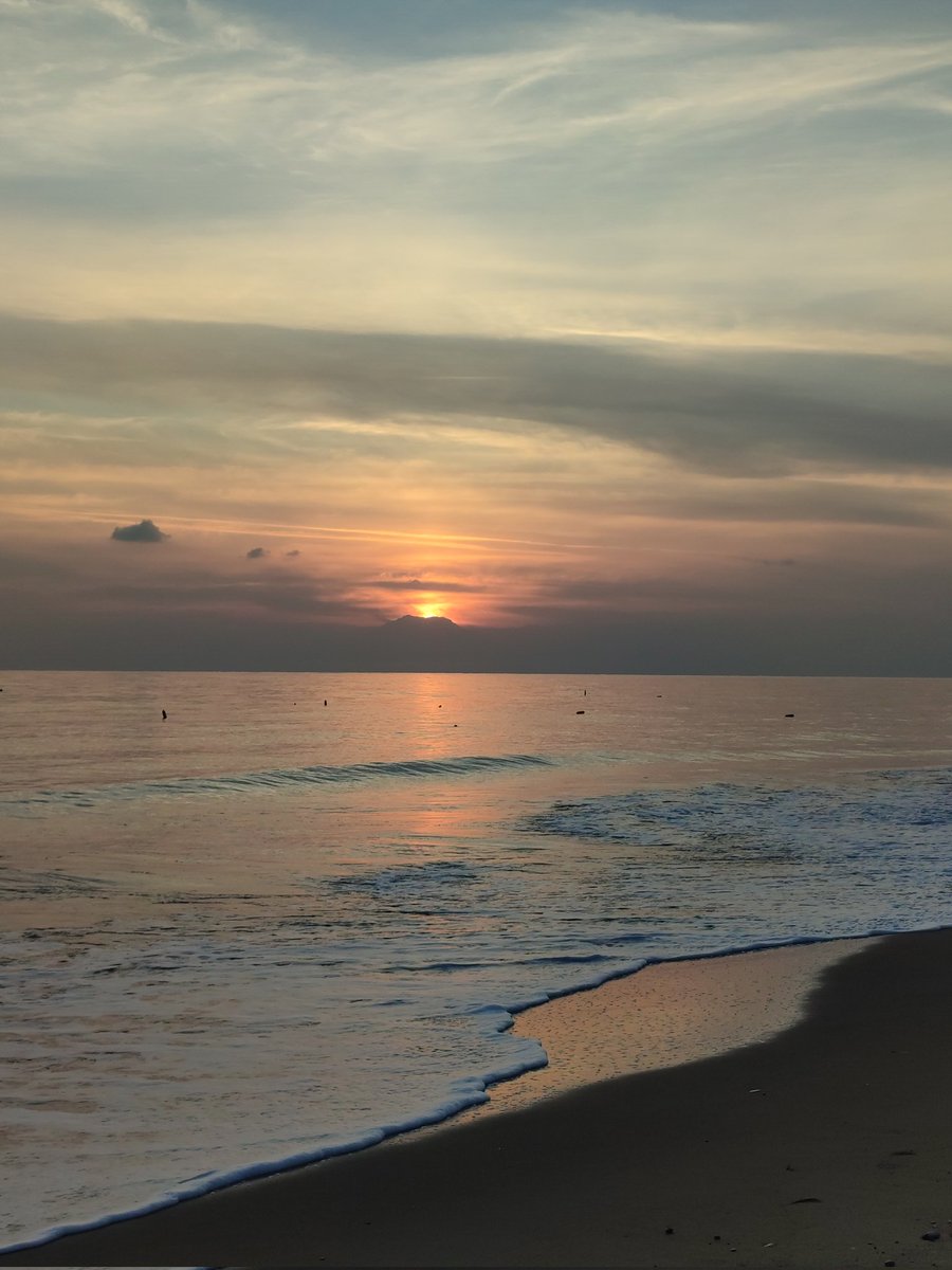 Karolina tweet media