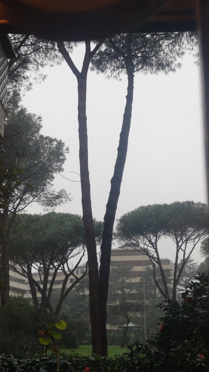 Record da decenni. 

A Roma piove da 72 ore... senza pause e intensissimamente... Cielo buio perenne. 

Tutti i romani e i turisti si lamentano.

Io sono affascinato da questa meraviglia della natura
(e molto più preoccupato per il fenomeno opposto: la siccità)

Foto delle ore 13