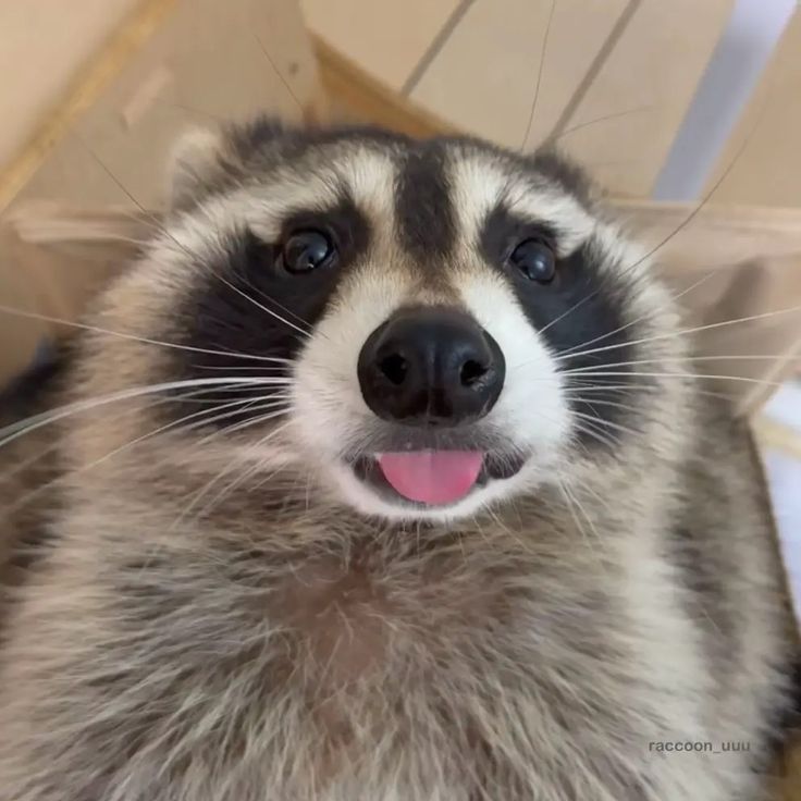 jeyelnim's tweet image. ;P 

#이거제이엘 
#제이엘 #JL
#아홉 #AHOF