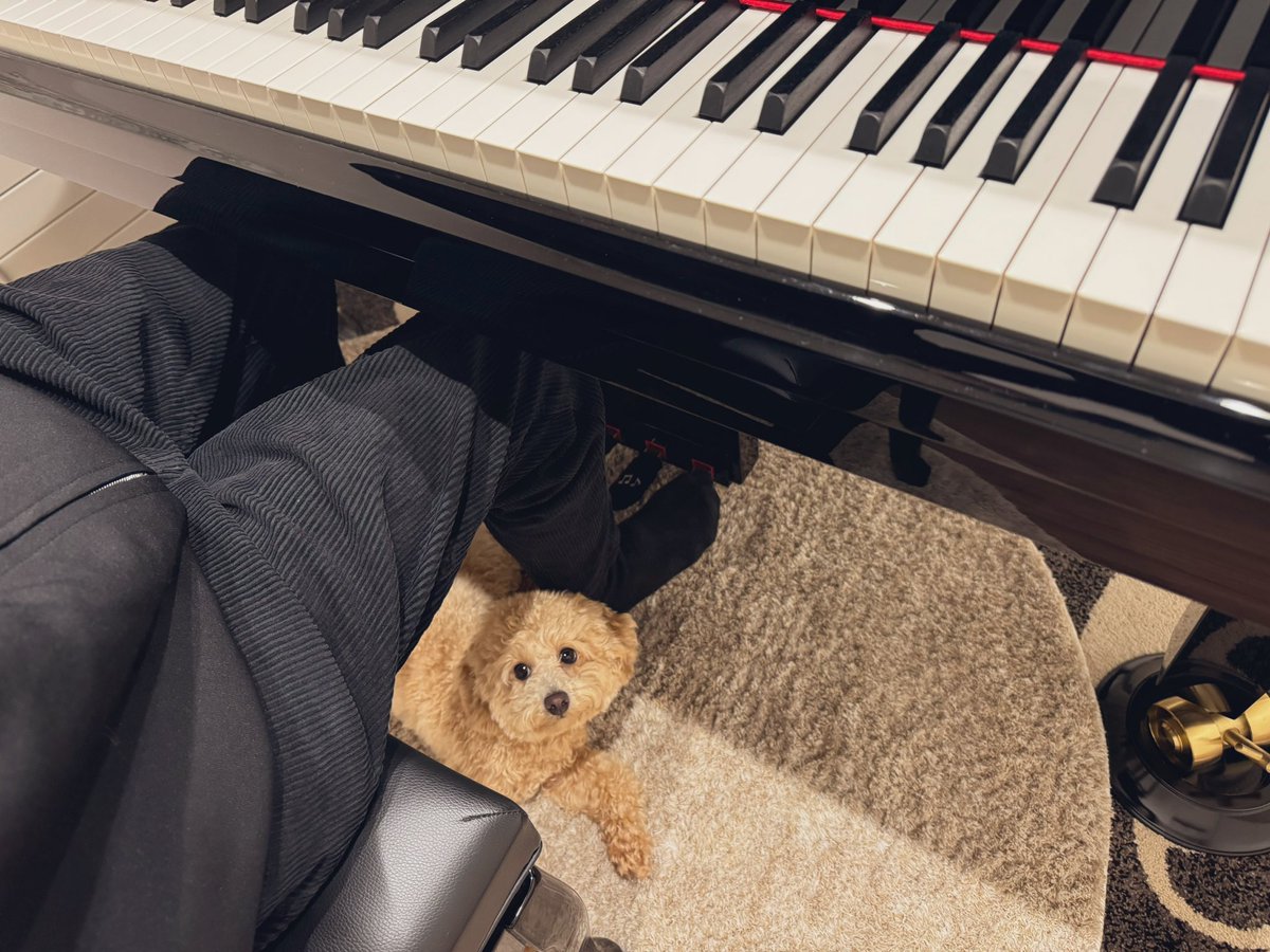 ふみくんの奮闘記