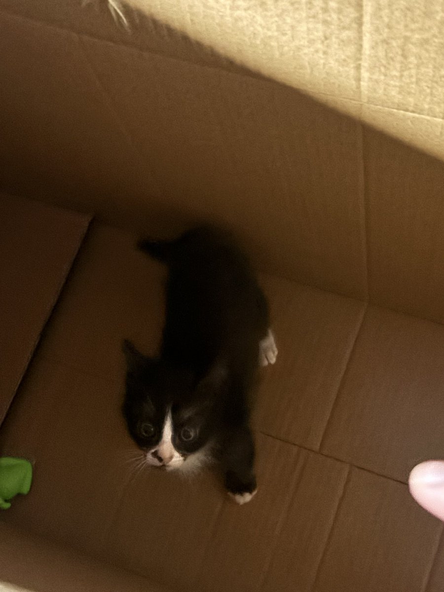 จะตีกุอีกละไอเวล5757575858 แม้ง