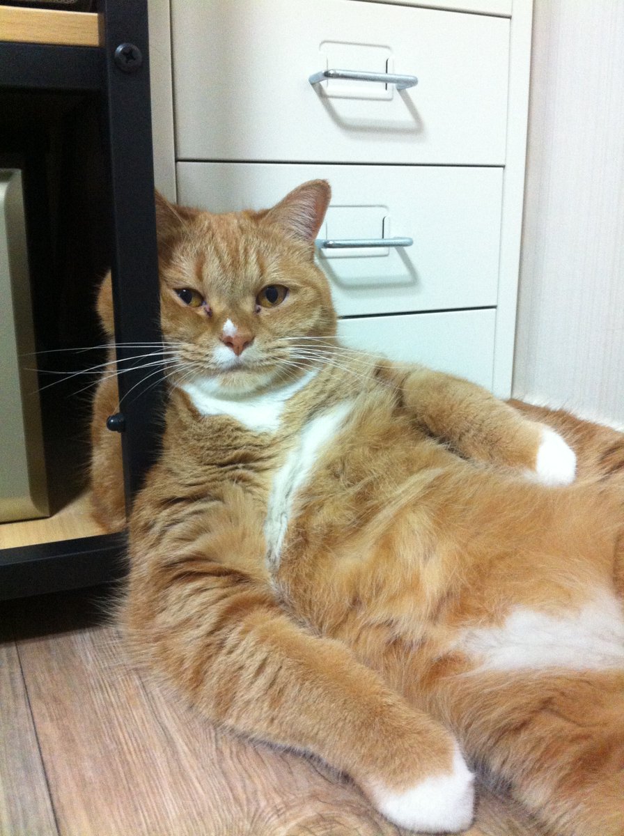 유우 사진 정리하다가 너무 웃겨서 ㅋㅋㅋㅋㅋㅋ 8살 때인데 표정 저러기 있냐고 ㅋㅋㅋ