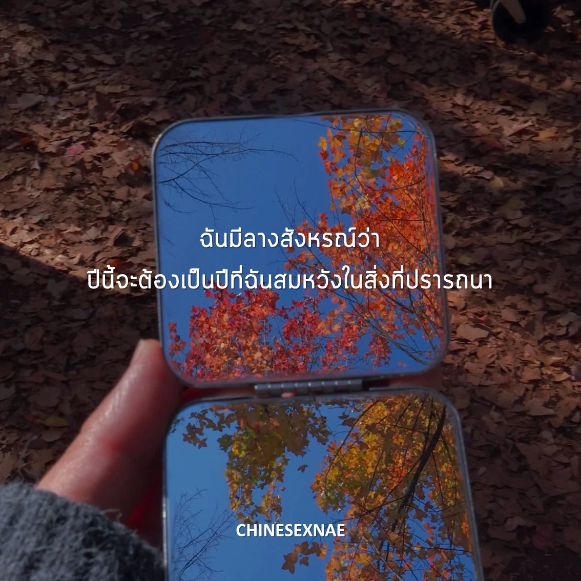เรียนจีนกะเน๊ะ & เรียนต่อจีน 🎓🇨🇳✨ tweet media