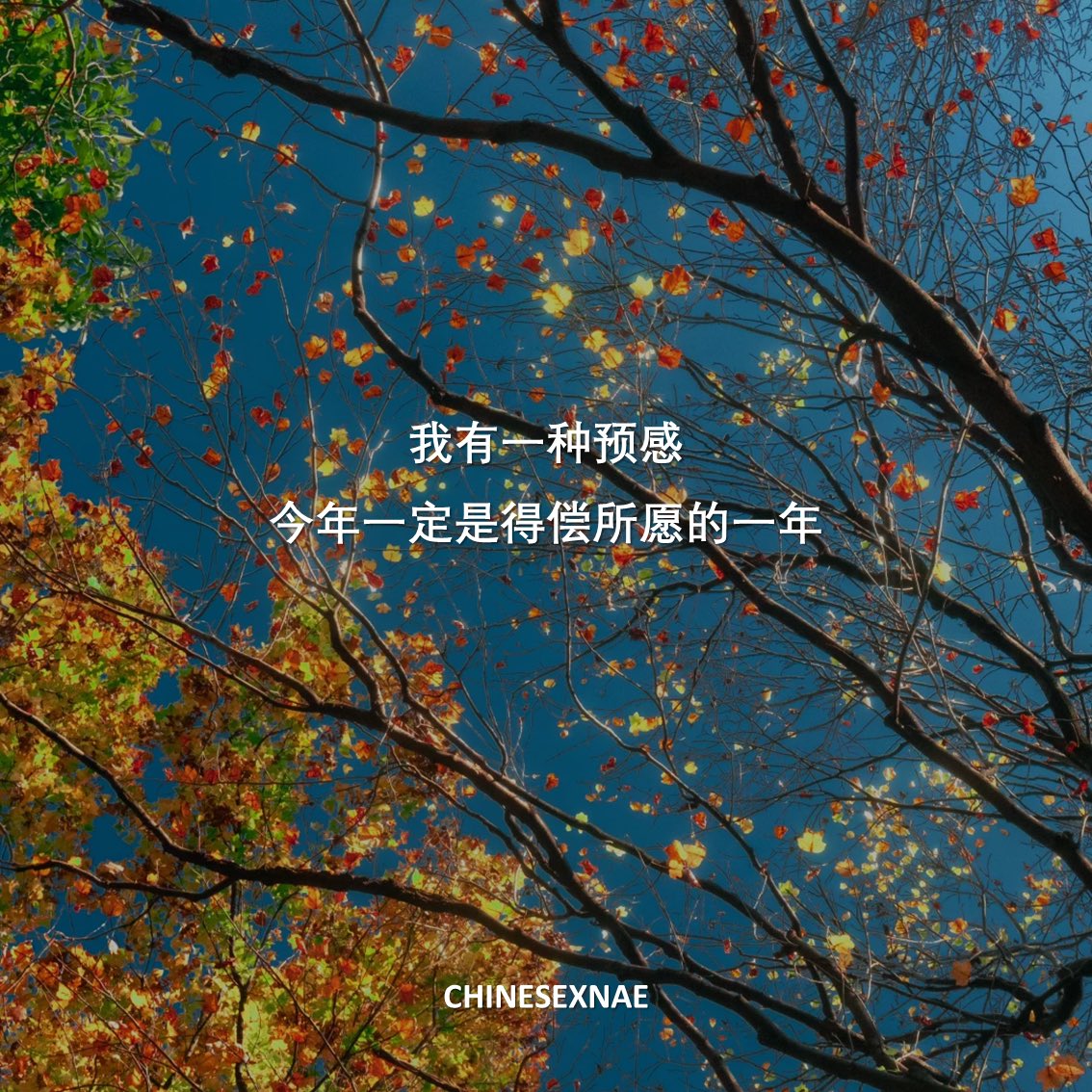 เรียนจีนกะเน๊ะ & เรียนต่อจีน 🎓🇨🇳✨ tweet media