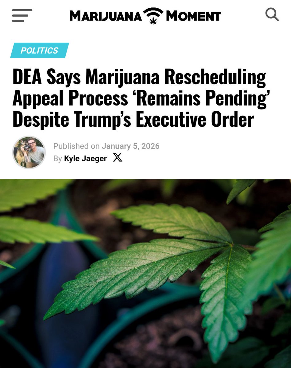 cloud_9_project's tweet image. In other words:
DEA doesn't give a flying f*ck about Trump's EO. They care more about Venezuela, Colombia, Mexico... That's where their cashflow. Our weed is not the priority.