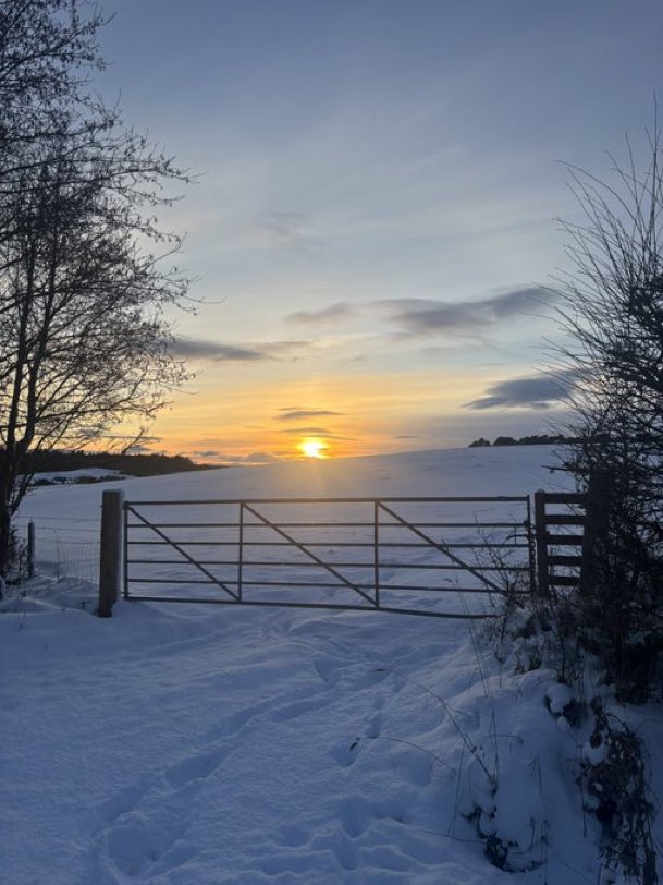 Successfulvfa7's tweet photo. Just went on the most gorg walk behind my house. Now I want a wallet to drain to warm my cold heart 😌 https://t.co/bx9Jjl1jR4