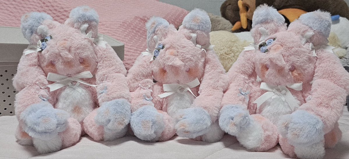 만팔로우 이번엔 찍을 수 있겠죠?...

팔로 알티 한분에게 1만팔 달성 시 추첨하여
커스텀 인형을 무료제작 해 드립니다.
귀제외 11cm,  15cm 고르실 수 있구
귀꼬리포함입니다

이번엔 꼭 추첨 가능했으면 합니다.
 #팔로우이벤트 #알티이벤트