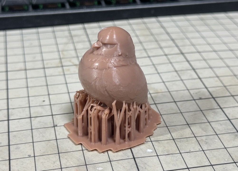 紅緒@wf6-22-17 (@benikick) / Posts / X