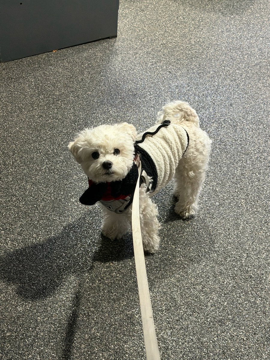 설이 콩알강쥐 같아. . .🤍 너무 귀엽네ㅜㅜ