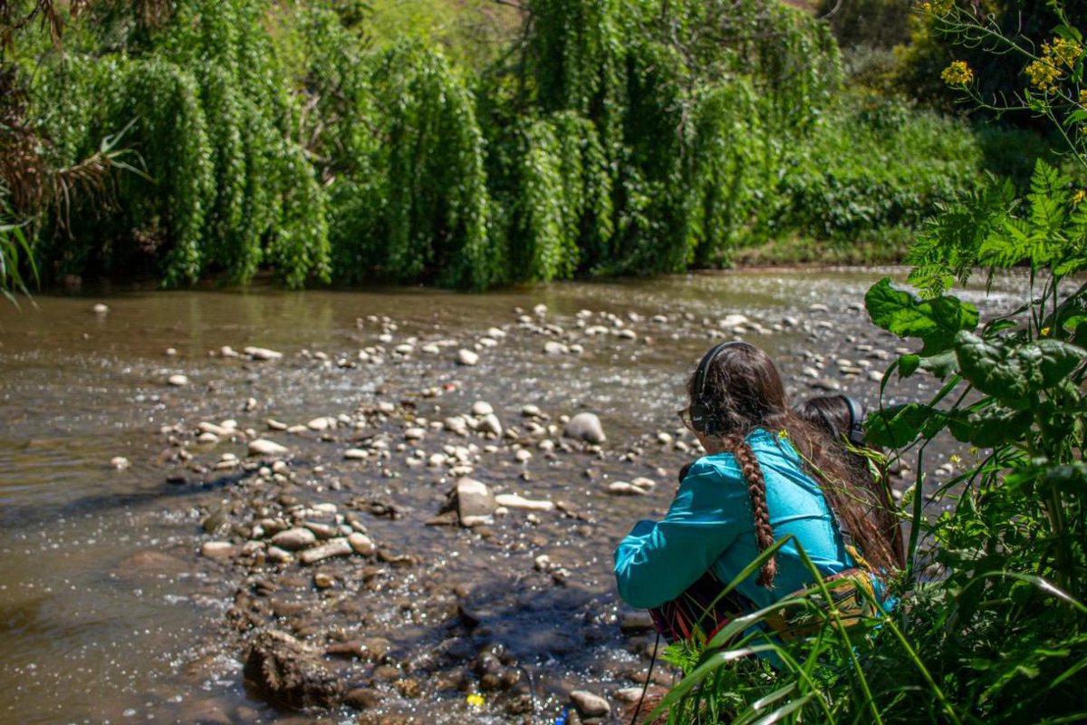 TomasVodanovic's tweet image. Mucha gente me ha escrito sorprendida porque no sabía que el Río Mapocho pasaba por Maipú, ni menos de sus hermosos paisajes y de la riqueza de su flora y fauna en nuestra comuna. 
Ayer, después de una lucha y un trabajo de muchos años, por fin el río fue declarado humedal…