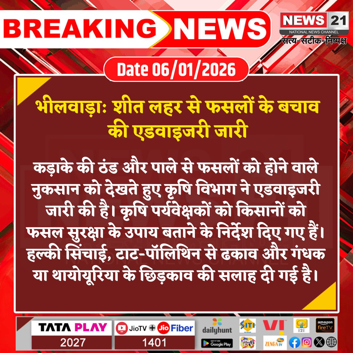 news21national's tweet image. #Bhilwara: शीत लहर से फसलों के बचाव की एडवाइजरी जारी

#ColdWave #FrostProtection #CropSafety #FarmerAdvisory #AgricultureUpdate #BreakingNews #LatestNews #HindiNews #News21 #News21National