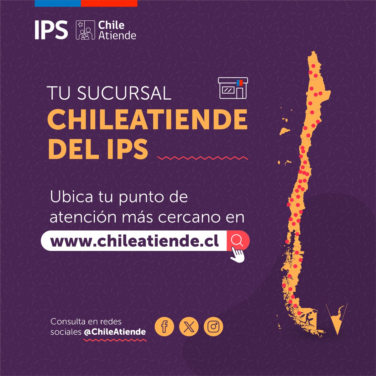 IPSChile tweet media