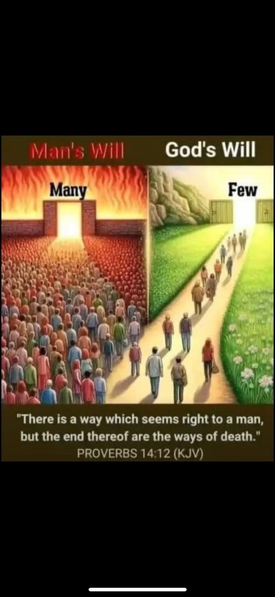 EliasisEric's tweet image. 