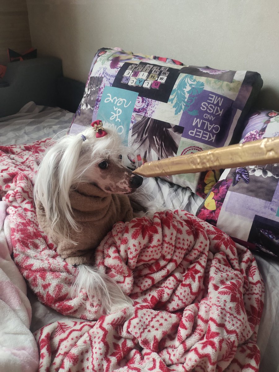 KonaCosplay tweet media