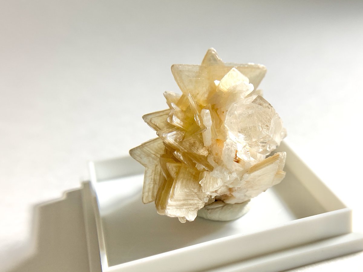 カズホ(しばらく低浮上) (@kxhmkmi) / Posts / X