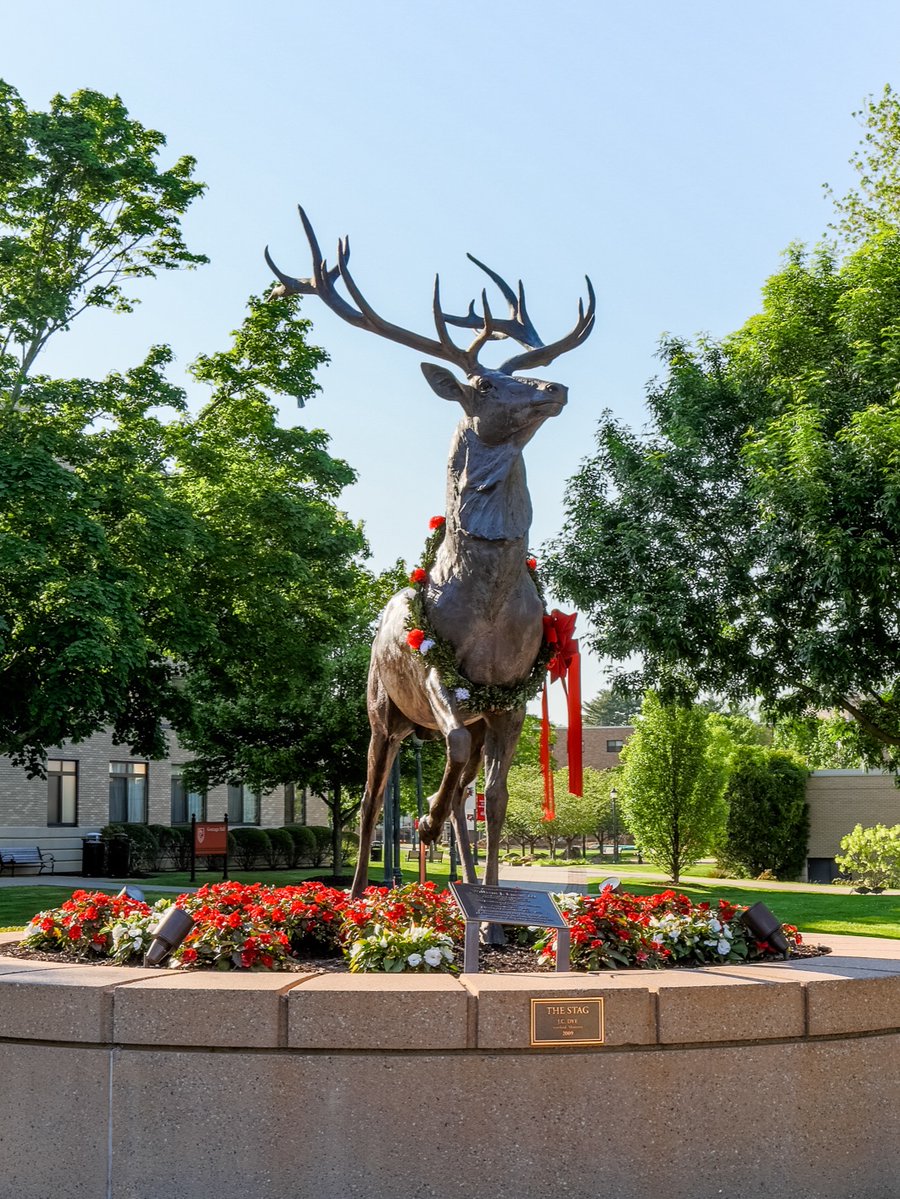 FairfieldU's tweet image. #StagCountry is beautiful in every season — and we’re lucky to call it home. 🍂❄️🌸☀️

#FairfieldU