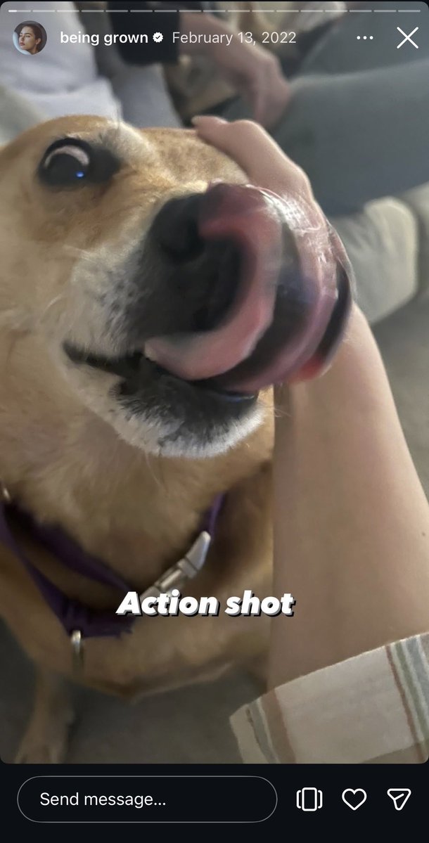 Gm <a href="/ZachWitkoff/">Zach Witkoff</a> 

$ANDIE loves you