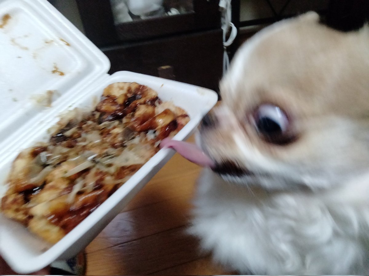 echigoyamoke's tweet image. かつおぶし盗んでいきやがった💦