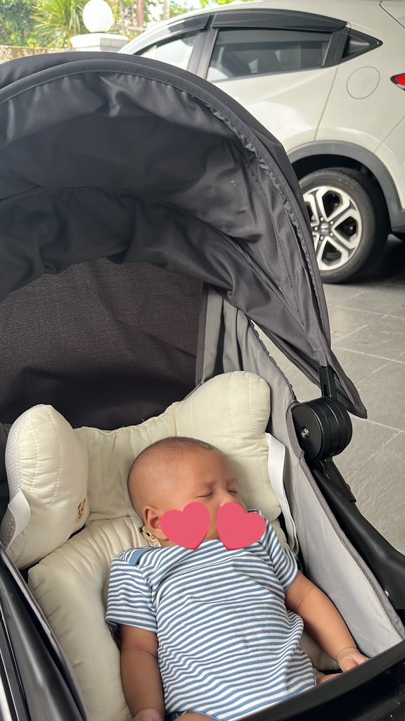 GoodDaisy tweet media