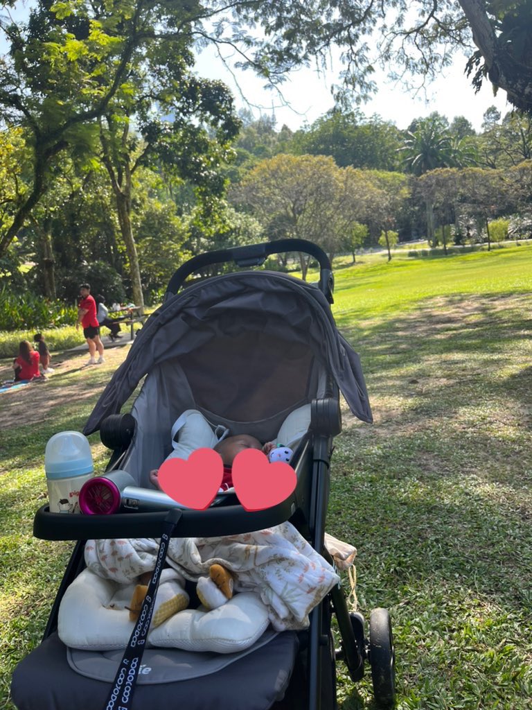 GoodDaisy tweet media