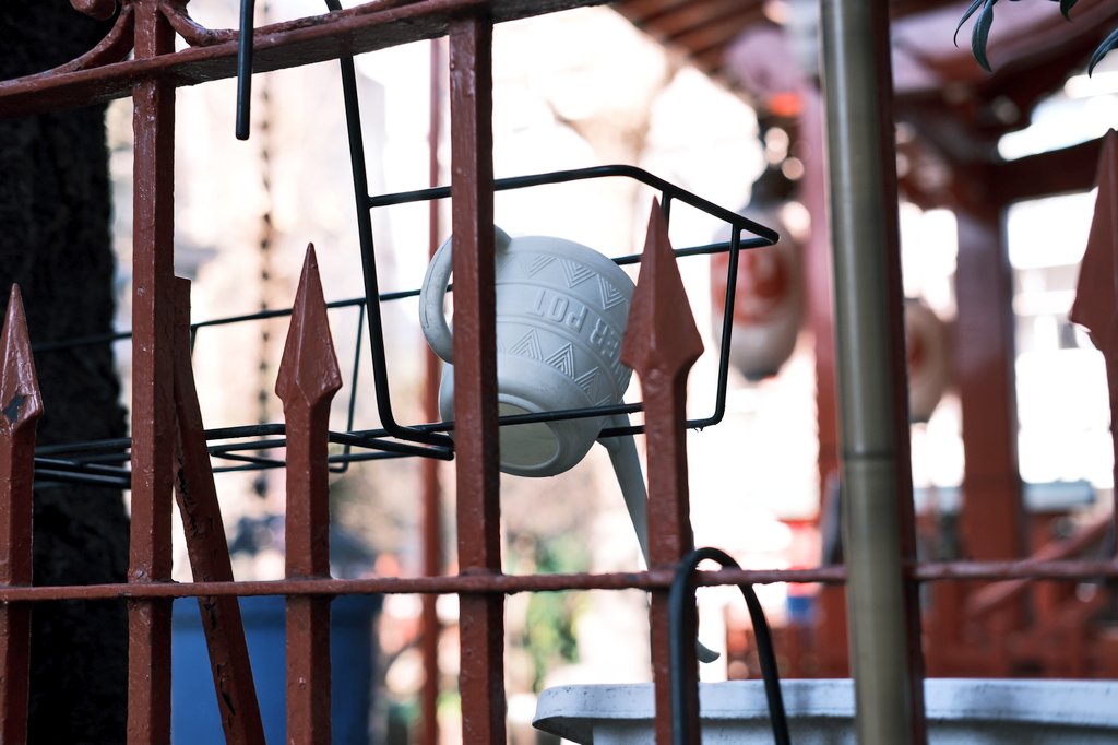 年末年始で撮ってた分から何枚か お正月休みが終わってしまってから