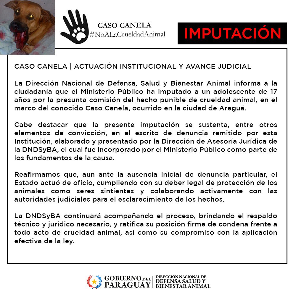 IMPUTACIÓN | CASO CANELA🚨

“La presente imputación se funda en los siguientes elementos de sospecha: escrito de denuncia remitido por el Director de Asesoría Jurídica de la Dirección Nacional de Defensa, Salud y Bienestar Animal; declaraciones testificales.