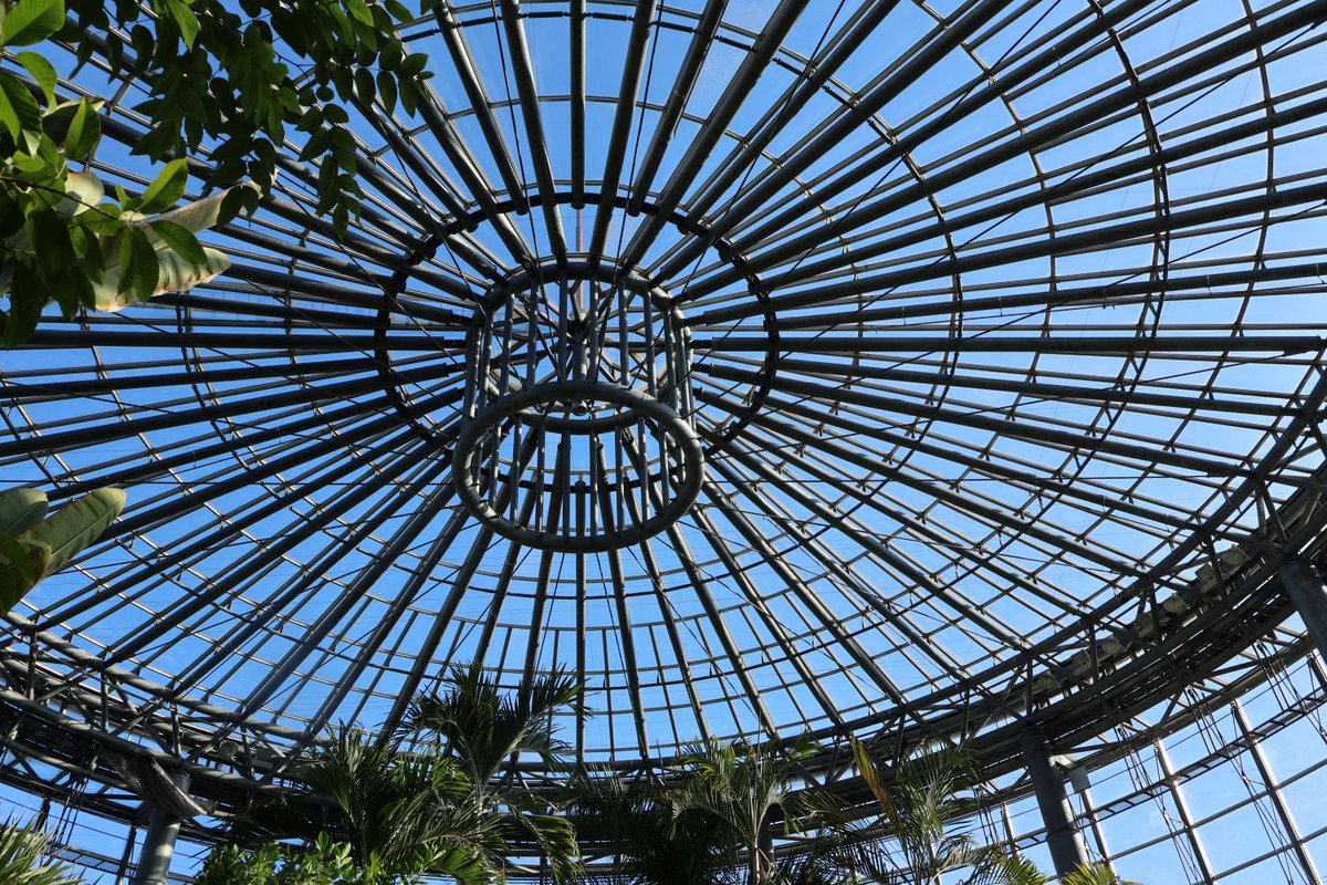 にゃんちゅう確認用ページ⭐️ にゃんちゅう