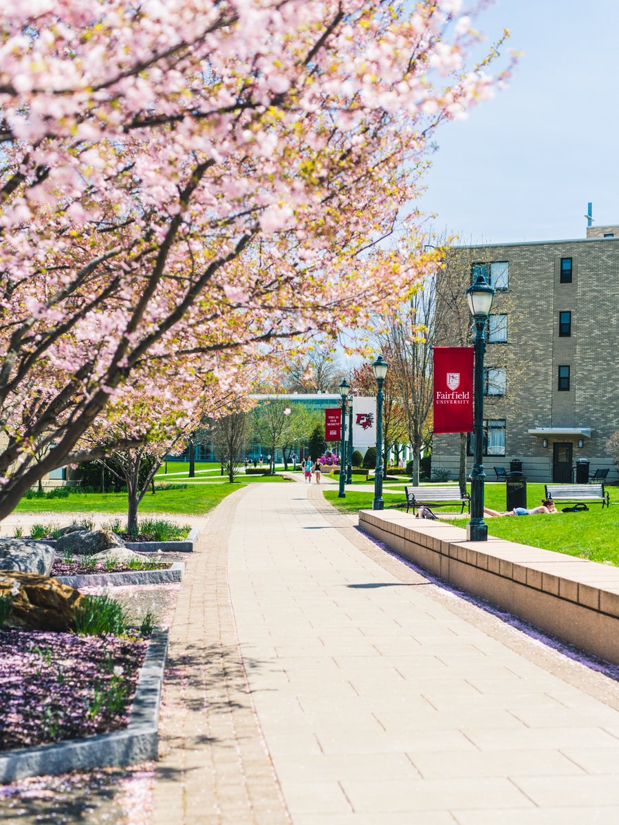 FairfieldU's tweet image. #StagCountry is beautiful in every season — and we’re lucky to call it home. 🍂❄️🌸☀️

#FairfieldU