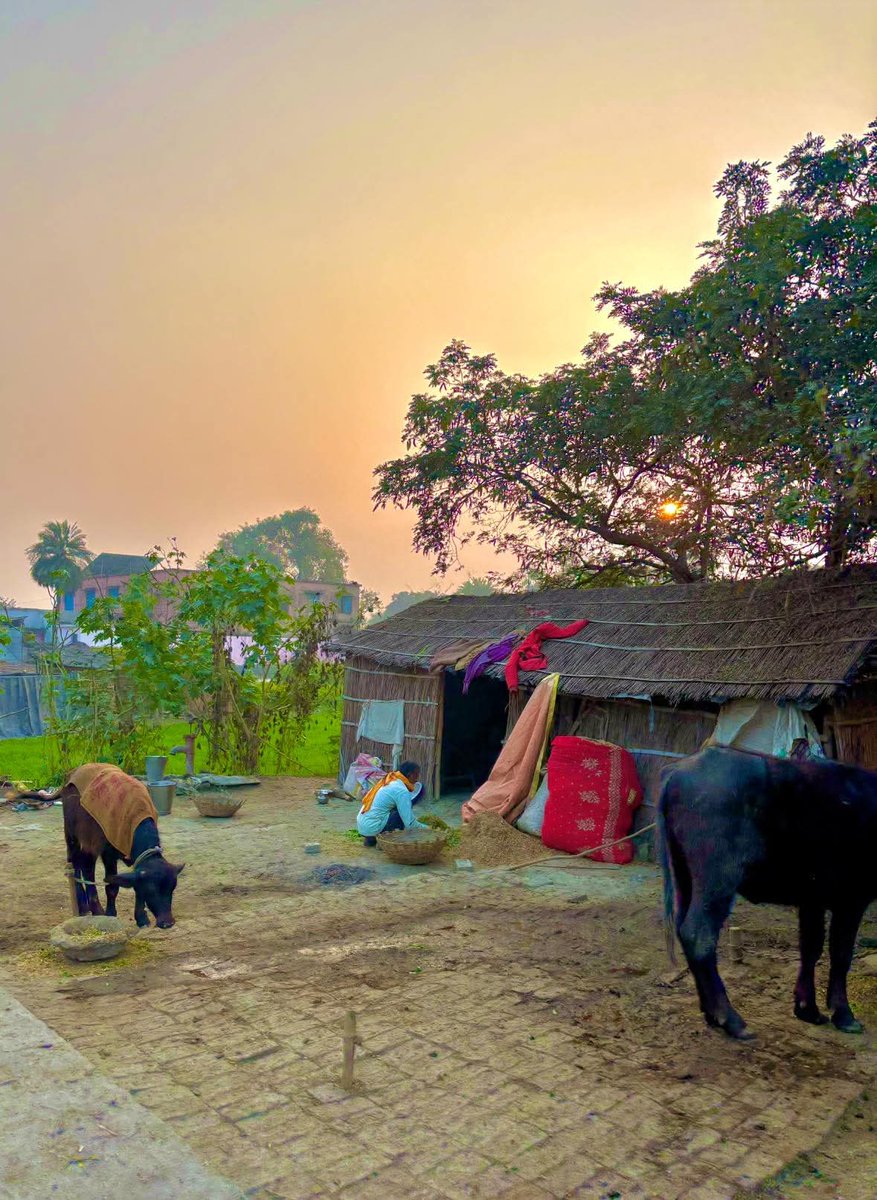 ढलती शाम का खुबसूरत नजारा
जीवन की असली खुशियाँ इन्हीं छोटे-छोटे पलो में छुपी होती हैं.. 
                 शुभ संध्या 🙏