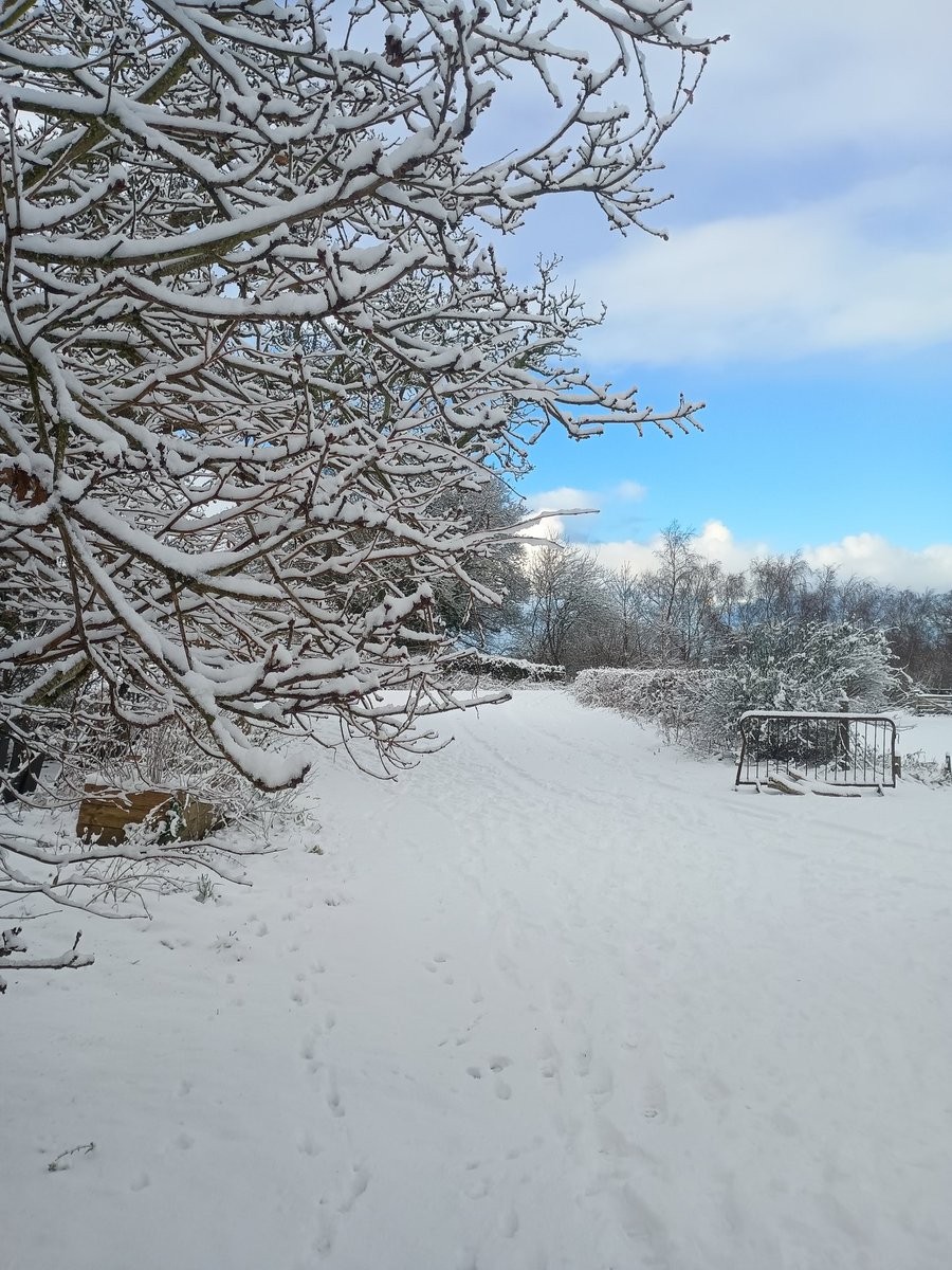 Bangor University Modern Languages & Cultures tweet media